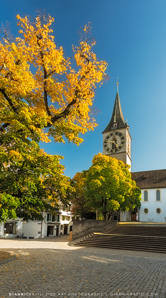 Autumn Colors in Zurich